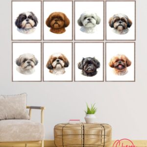 dog portraits